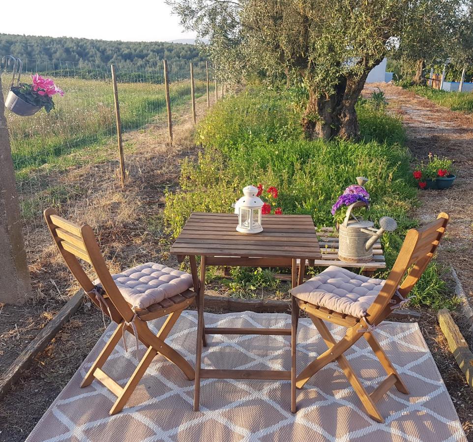 Casa Hnobre Apartment Santarem Luaran gambar