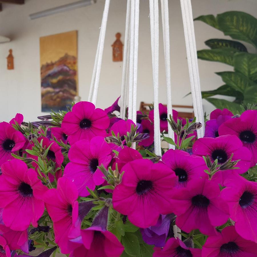 Casa Hnobre Apartment Santarem Luaran gambar